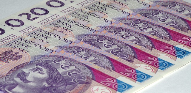 Nachhaltig Investieren: Wie Sie Ihr Geld ökologisch sinnvoll anlegen